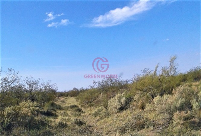 GREENWOOD VENDE CAMPO GANADERO EN SAN RAFAEL DE 5522Ha. 