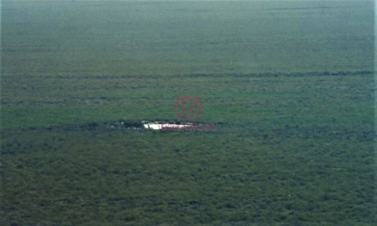 GREENWOOD VENDE CAMPO GANADERO EN SAN RAFAEL DE 5522Ha. 