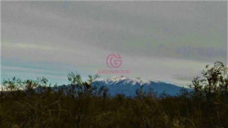 GREENWOOD VENDE CAMPO GANADERO EN SAN RAFAEL DE 5522Ha. 