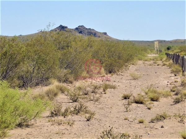GREENWOOD VENDE CAMPO GANADERO EN SAN RAFAEL DE 5522Ha. 