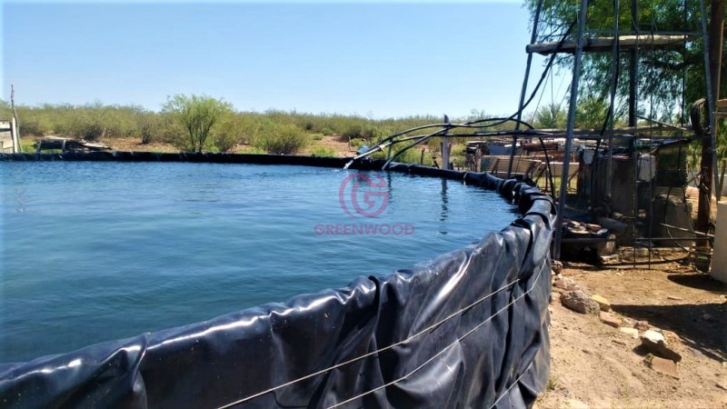 GREENWOOD VENDE CAMPO GANADERO EN SAN RAFAEL DE 5522Ha. 