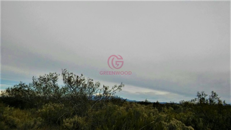 GREENWOOD VENDE CAMPO GANADERO EN SAN RAFAEL DE 5522Ha. 