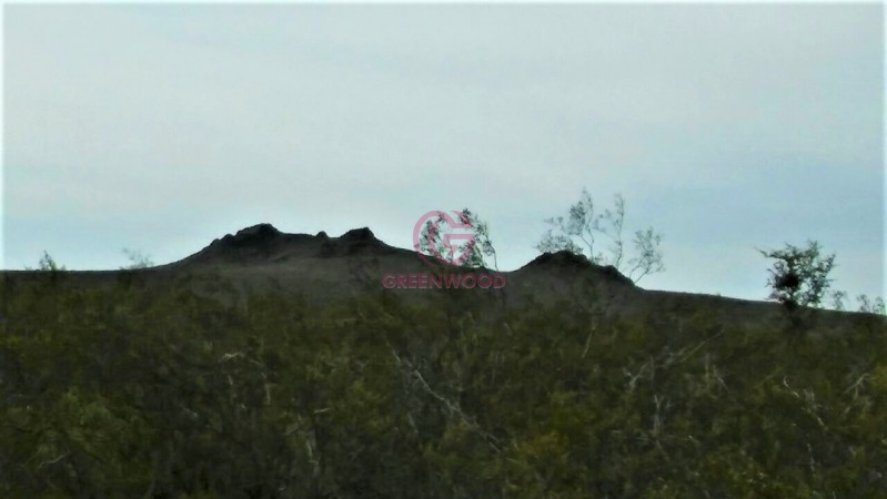 GREENWOOD VENDE CAMPO GANADERO EN SAN RAFAEL DE 5522Ha. 