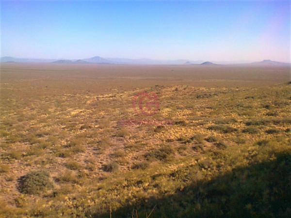 GREENWOOD VENDE CAMPO GANADERO EN SAN RAFAEL DE 5522Ha. 
