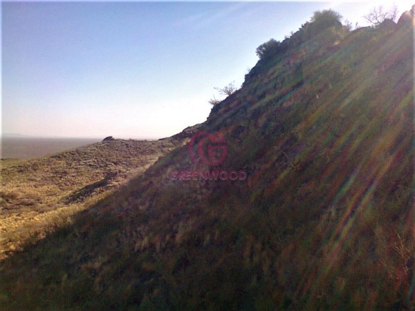 GREENWOOD VENDE CAMPO GANADERO EN SAN RAFAEL DE 5522Ha. 
