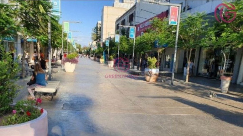 GREENWOOD VENDE PISO EN PEATONAL AV. RIVADAVIA, EN EL CENTRO DE SAN JUAN