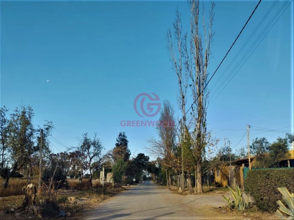GREENWOOD VENDE EXCELENTE LOTE PARA DESARROLLAR FRACCIONAMIENTO O PROYECTO TURISTICO EN LOS CAMINOS DEL VINO