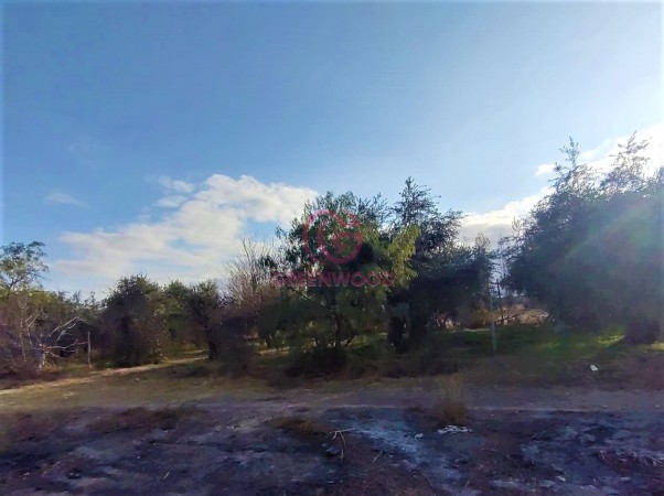 GREENWOOD VENDE EXCELENTE LOTE PARA DESARROLLAR FRACCIONAMIENTO O PROYECTO TURISTICO EN LOS CAMINOS DEL VINO