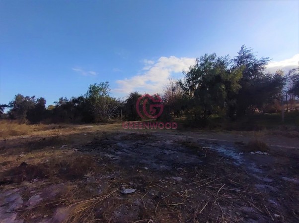GREENWOOD VENDE EXCELENTE LOTE PARA DESARROLLAR FRACCIONAMIENTO O PROYECTO TURISTICO EN LOS CAMINOS DEL VINO