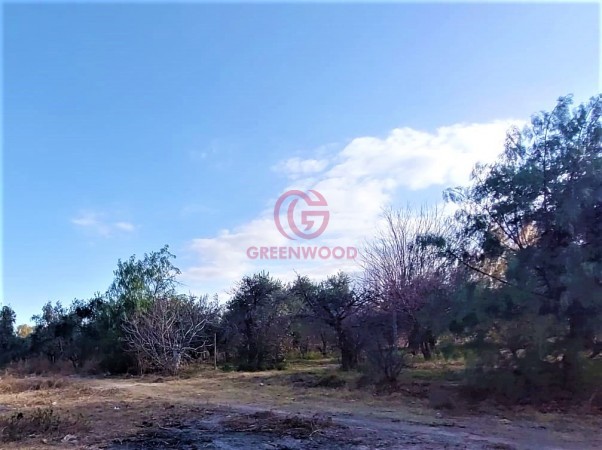 GREENWOOD VENDE EXCELENTE LOTE PARA DESARROLLAR FRACCIONAMIENTO O PROYECTO TURISTICO EN LOS CAMINOS DEL VINO