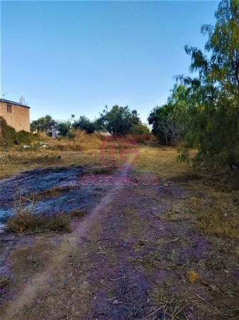 GREENWOOD VENDE EXCELENTE LOTE PARA DESARROLLAR FRACCIONAMIENTO O PROYECTO TURISTICO EN LOS CAMINOS DEL VINO