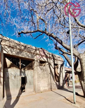 GREENWOOD VENDE TERRENO CON GALPON IDEAL EMPRENDIMIENTOS EXCELENTE UBICACIÓN DE LA CIUDAD DE MENDOZA, ZONA DE AMPLIO CRECIMIENTO