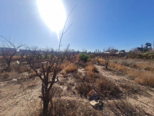 GREENWOOD VENDE AMPLIO TERRENO IDEAL PARA CONSTRUCCION GALPONES EN LAS HERAS, ZONA PLUMERILLO