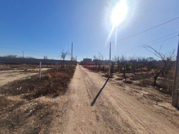 GREENWOOD VENDE AMPLIO TERRENO IDEAL PARA CONSTRUCCION GALPONES EN LAS HERAS, ZONA PLUMERILLO