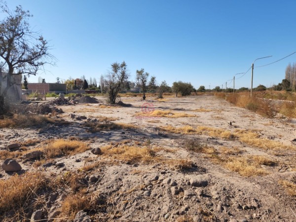 GREENWOOD VENDE EXCELENTE LOTE EN MAIPU, BARRIO COIRONES DE MAYO CON ENTRADA UNICA NO PRIVADO IDEAL PARA DESARROLLO DE DUPLEX Y DEPARTAMENTOS