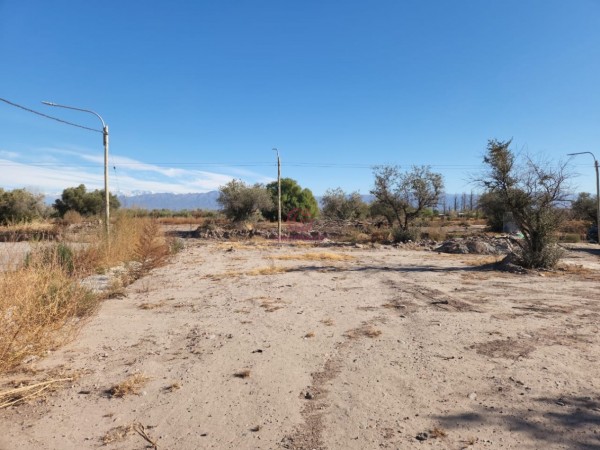 GREENWOOD VENDE EXCELENTE LOTE EN MAIPU, BARRIO COIRONES DE MAYO CON ENTRADA UNICA NO PRIVADO IDEAL PARA DESARROLLO DE DUPLEX Y DEPARTAMENTOS