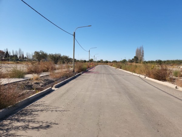 GREENWOOD VENDE EXCELENTE LOTE EN MAIPU, BARRIO COIRONES DE MAYO CON ENTRADA UNICA NO PRIVADO IDEAL PARA DESARROLLO DE DUPLEX Y DEPARTAMENTOS