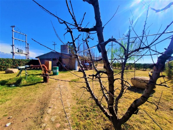GREENWOOD VENDE INIGUALABLE FINCA EN VISTA FLORES TUNUYAN, EXCELENTE RENTABILIDAD, IDEAL EMPRENDIMIENTOS BOUTIQUE