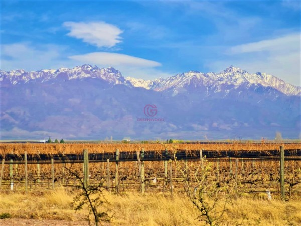 GREENWOOD VENDE INIGUALABLE FINCA EN VISTA FLORES TUNUYAN, EXCELENTE RENTABILIDAD, IDEAL EMPRENDIMIENTOS BOUTIQUE