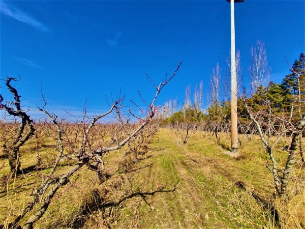 GREENWOOD VENDE INIGUALABLE FINCA EN VISTA FLORES TUNUYAN, EXCELENTE RENTABILIDAD, IDEAL EMPRENDIMIENTOS BOUTIQUE