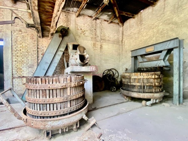 GREENWOOD VENDE BODEGA Y CASA EN LUJAN DE CUYO, IDEAL PARA INVERSORES DE EXPERIENCIAS GASTRONOMICAS Y GUARDA DE VINOS