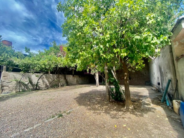 GREENWOOD VENDE BODEGA Y CASA EN LUJAN DE CUYO, IDEAL PARA INVERSORES DE EXPERIENCIAS GASTRONOMICAS Y GUARDA DE VINOS