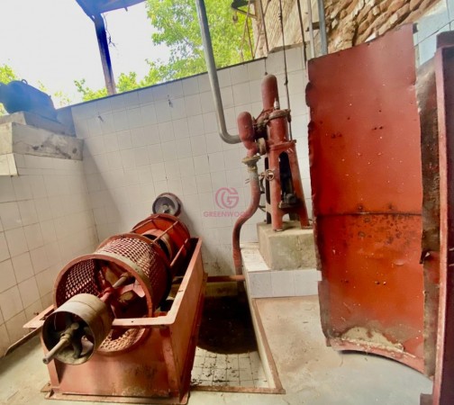 GREENWOOD VENDE BODEGA Y CASA EN LUJAN DE CUYO, IDEAL PARA INVERSORES DE EXPERIENCIAS GASTRONOMICAS Y GUARDA DE VINOS