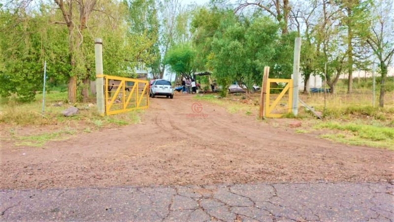 GREENWOOD VENDE HERMOSA FINCA CON VINEDOS Y TIERRA PARA CULTIVAR EN SAN MARTIN