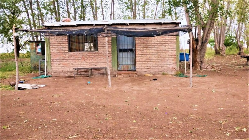 GREENWOOD VENDE HERMOSA FINCA CON VINEDOS Y TIERRA PARA CULTIVAR EN SAN MARTIN