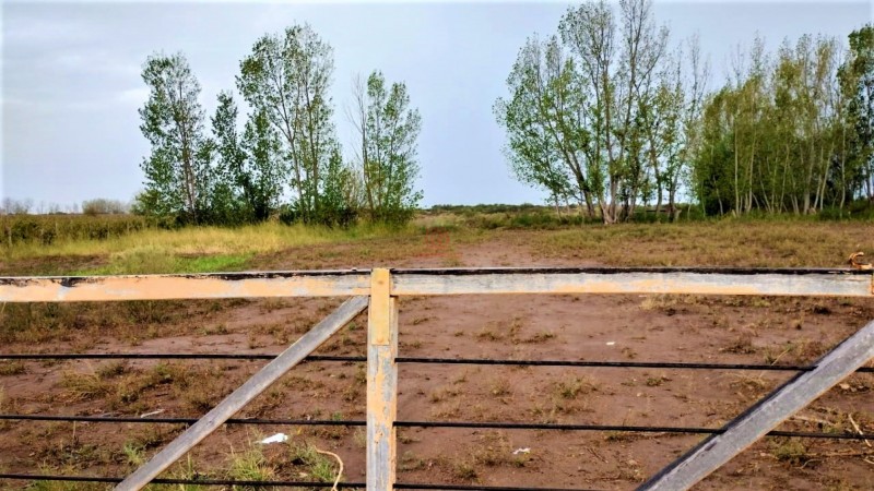 GREENWOOD VENDE HERMOSA FINCA CON VINEDOS Y TIERRA PARA CULTIVAR EN SAN MARTIN