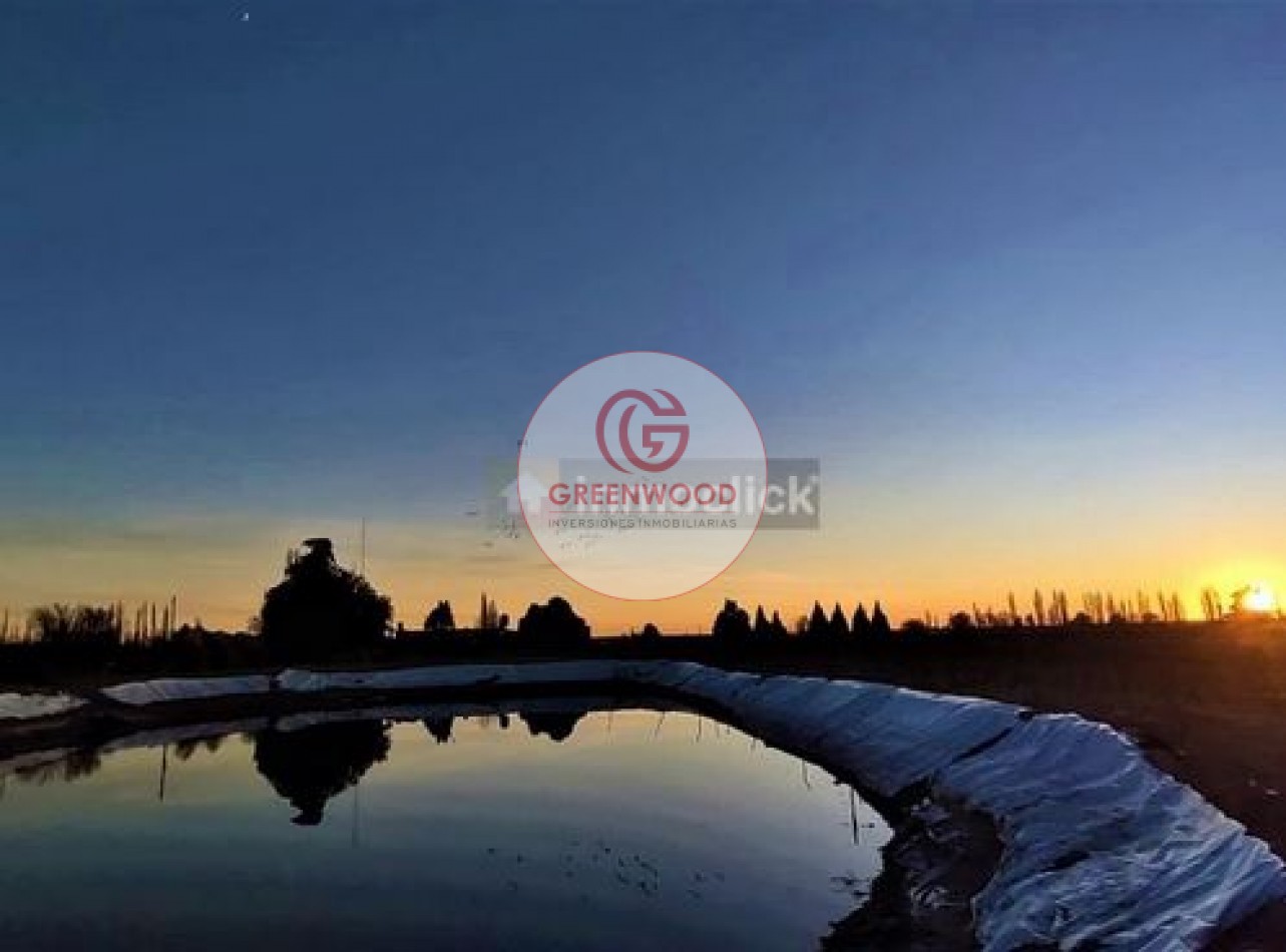 GREENWOOD VENDE FABULOSA FINCA CON VIÑEDO, CASA Y PEQUEÑA BODEGA ARTESANAL EN SAN RAFAEL