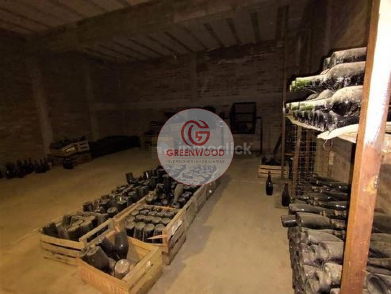 GREENWOOD VENDE FABULOSA FINCA CON VIÑEDO, CASA Y PEQUEÑA BODEGA ARTESANAL EN SAN RAFAEL