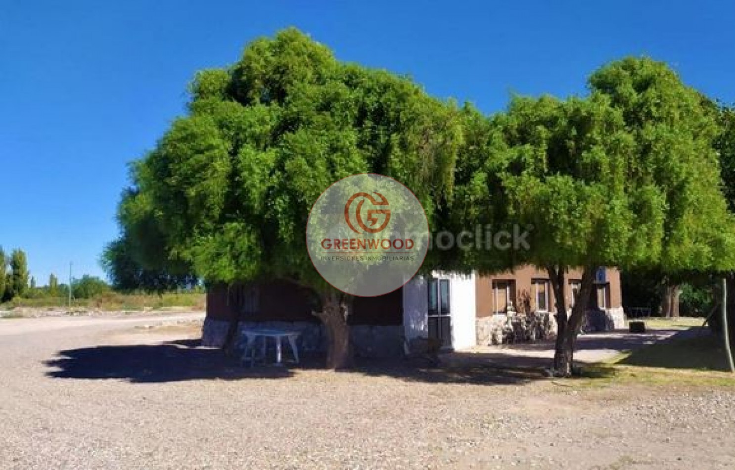 GREENWOOD VENDE FABULOSA FINCA CON VIÑEDO, CASA Y PEQUEÑA BODEGA ARTESANAL EN SAN RAFAEL
