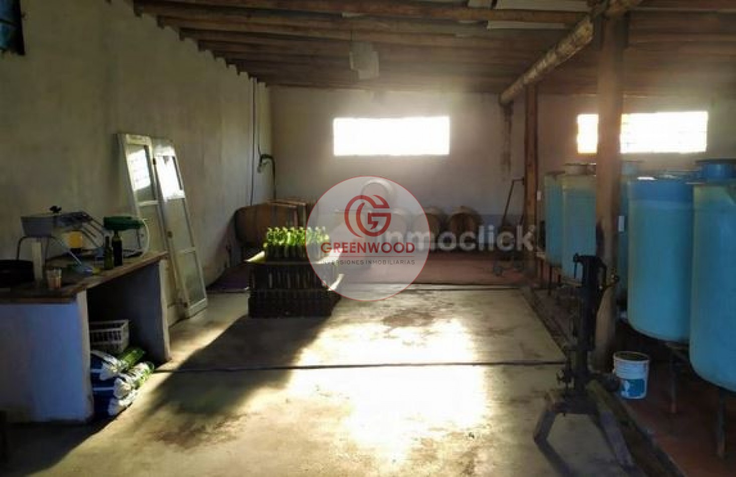 GREENWOOD VENDE FABULOSA FINCA CON VIÑEDO, CASA Y PEQUEÑA BODEGA ARTESANAL EN SAN RAFAEL