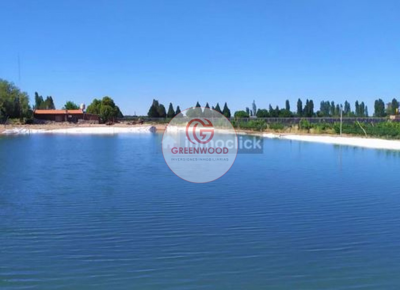 GREENWOOD VENDE FABULOSA FINCA CON VIÑEDO, CASA Y PEQUEÑA BODEGA ARTESANAL EN SAN RAFAEL