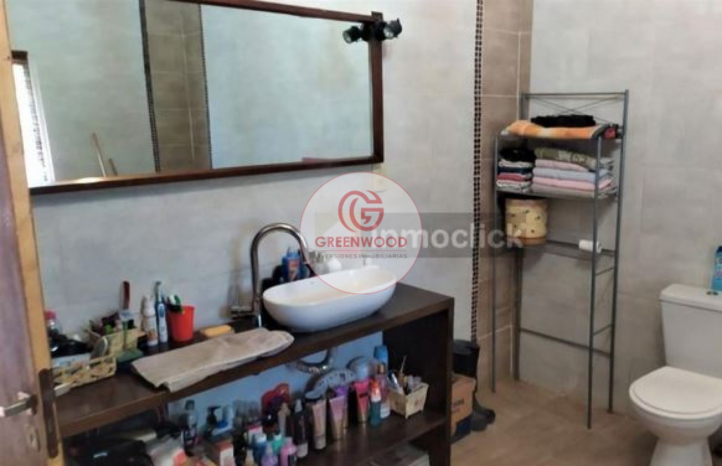 GREENWOOD VENDE FABULOSA FINCA CON VIÑEDO, CASA Y PEQUEÑA BODEGA ARTESANAL EN SAN RAFAEL