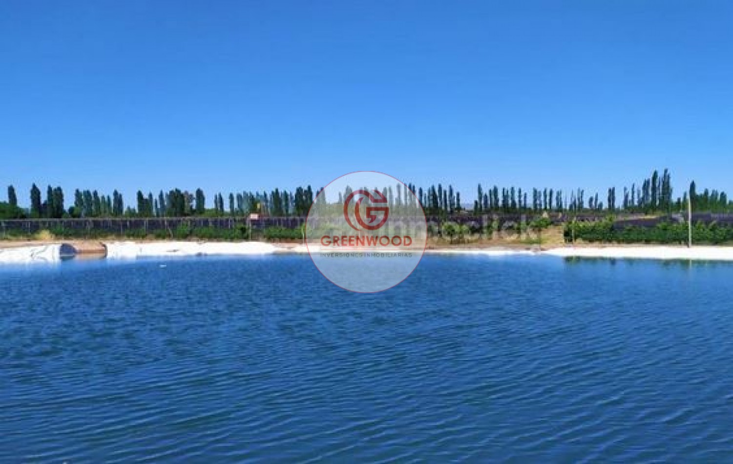 GREENWOOD VENDE FABULOSA FINCA CON VIÑEDO, CASA Y PEQUEÑA BODEGA ARTESANAL EN SAN RAFAEL