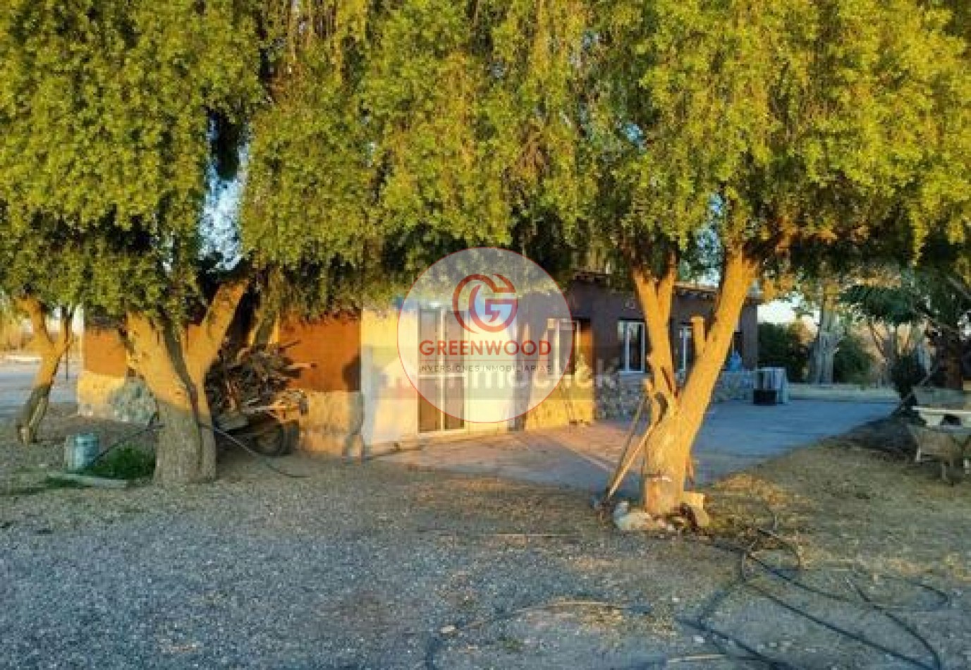 GREENWOOD VENDE FABULOSA FINCA CON VIÑEDO, CASA Y PEQUEÑA BODEGA ARTESANAL EN SAN RAFAEL