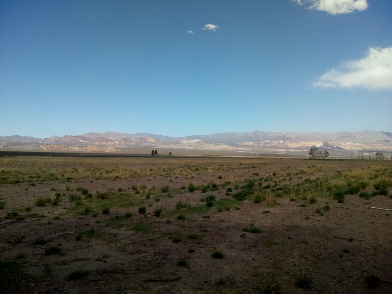 GREENWOOD VENDE FINCA HERMOSA CON UN GRAN VISTA A LA CORDILLERA, UBICADA EN LOS TAMBILLOS, USPALLATA
