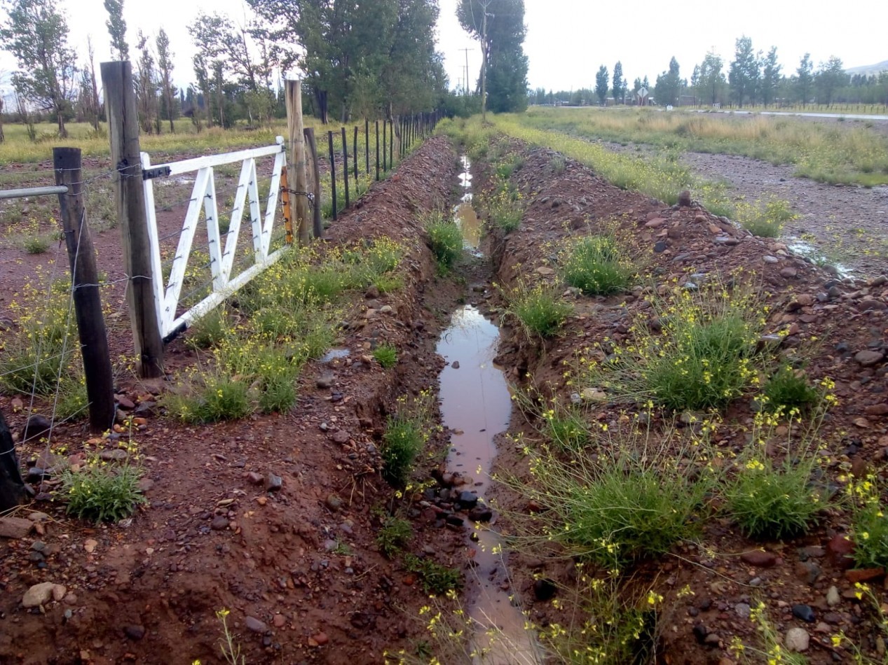 GREENWOOD VENDE FINCA HERMOSA CON UN GRAN VISTA A LA CORDILLERA, UBICADA EN LOS TAMBILLOS, USPALLATA