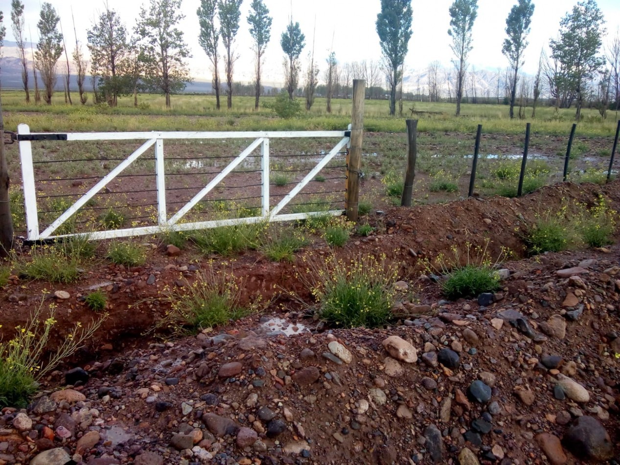 GREENWOOD VENDE FINCA HERMOSA CON UN GRAN VISTA A LA CORDILLERA, UBICADA EN LOS TAMBILLOS, USPALLATA