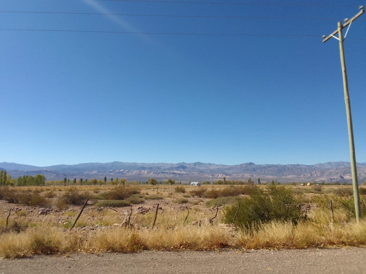 GREENWOOD VENDE FINCA HERMOSA CON UN GRAN VISTA A LA CORDILLERA, UBICADA EN LOS TAMBILLOS, USPALLATA