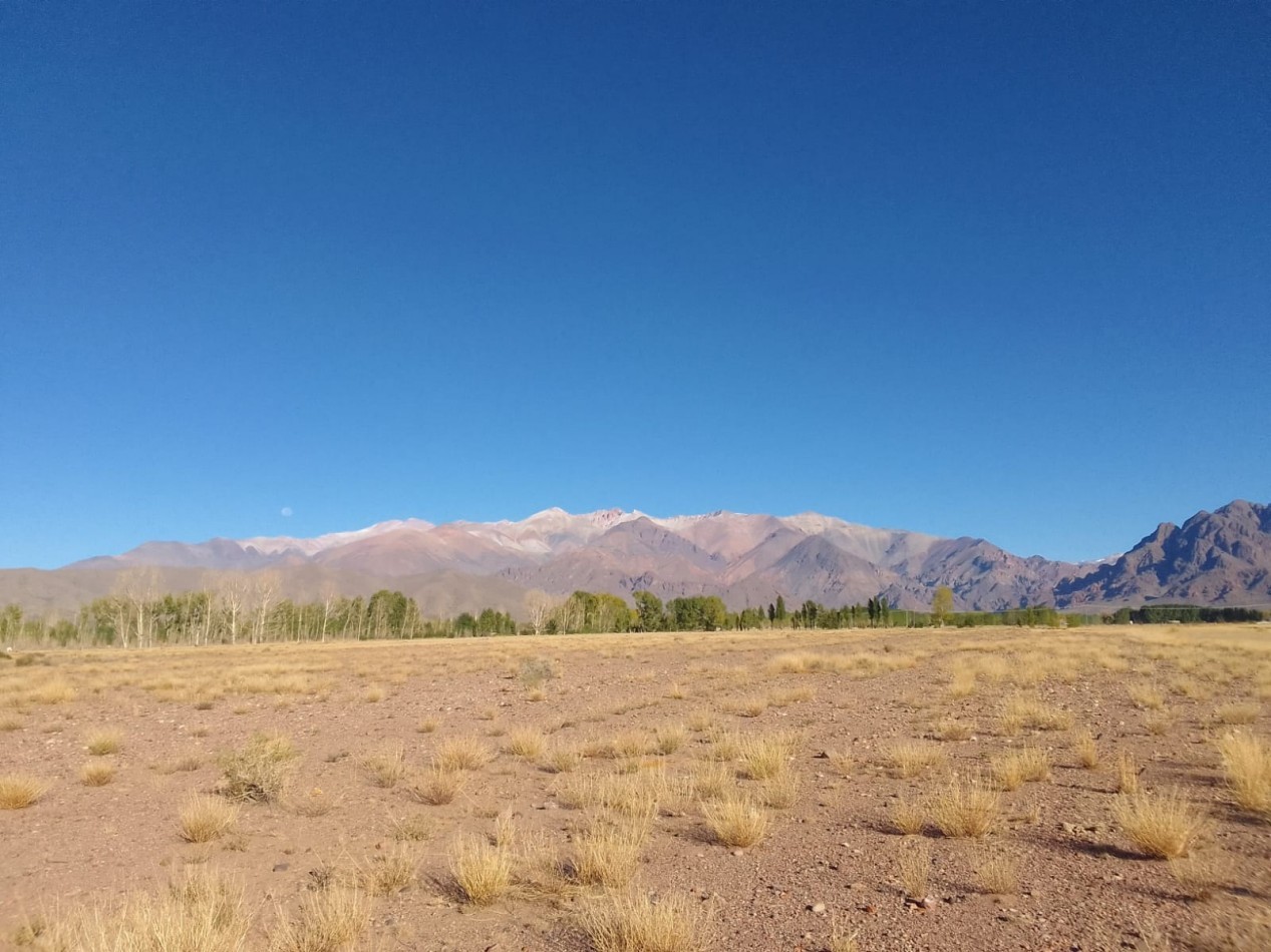 GREENWOOD VENDE FINCA HERMOSA CON UN GRAN VISTA A LA CORDILLERA, UBICADA EN LOS TAMBILLOS, USPALLATA