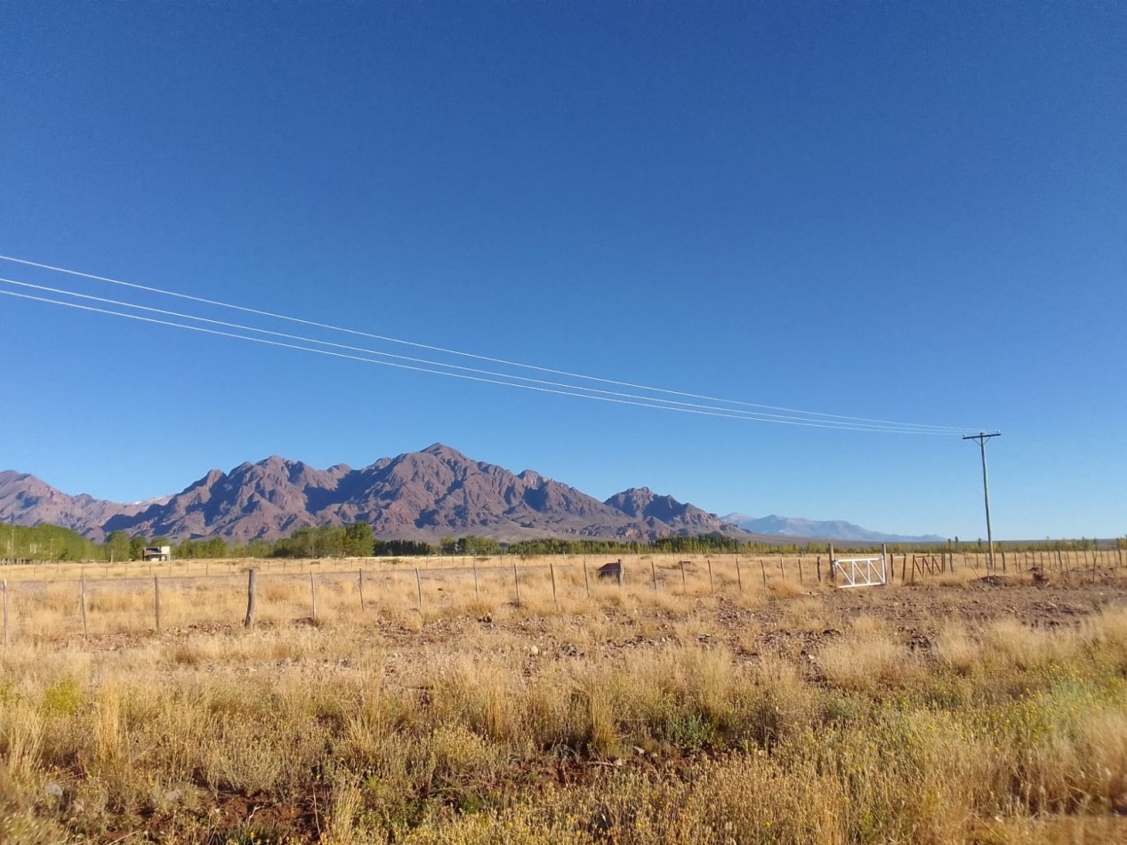 GREENWOOD VENDE FINCA HERMOSA CON UN GRAN VISTA A LA CORDILLERA, UBICADA EN LOS TAMBILLOS, USPALLATA
