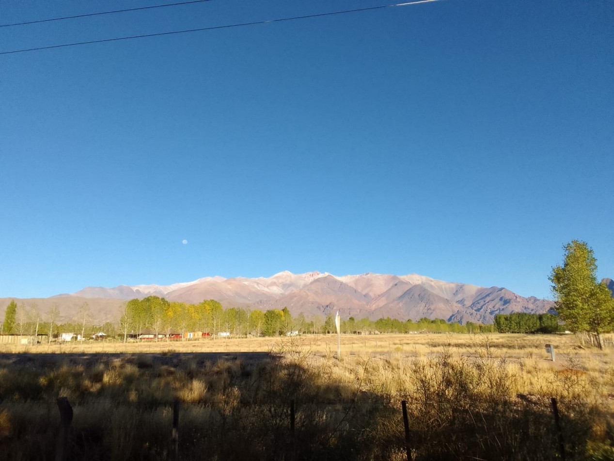 GREENWOOD VENDE FINCA HERMOSA CON UN GRAN VISTA A LA CORDILLERA, UBICADA EN LOS TAMBILLOS, USPALLATA