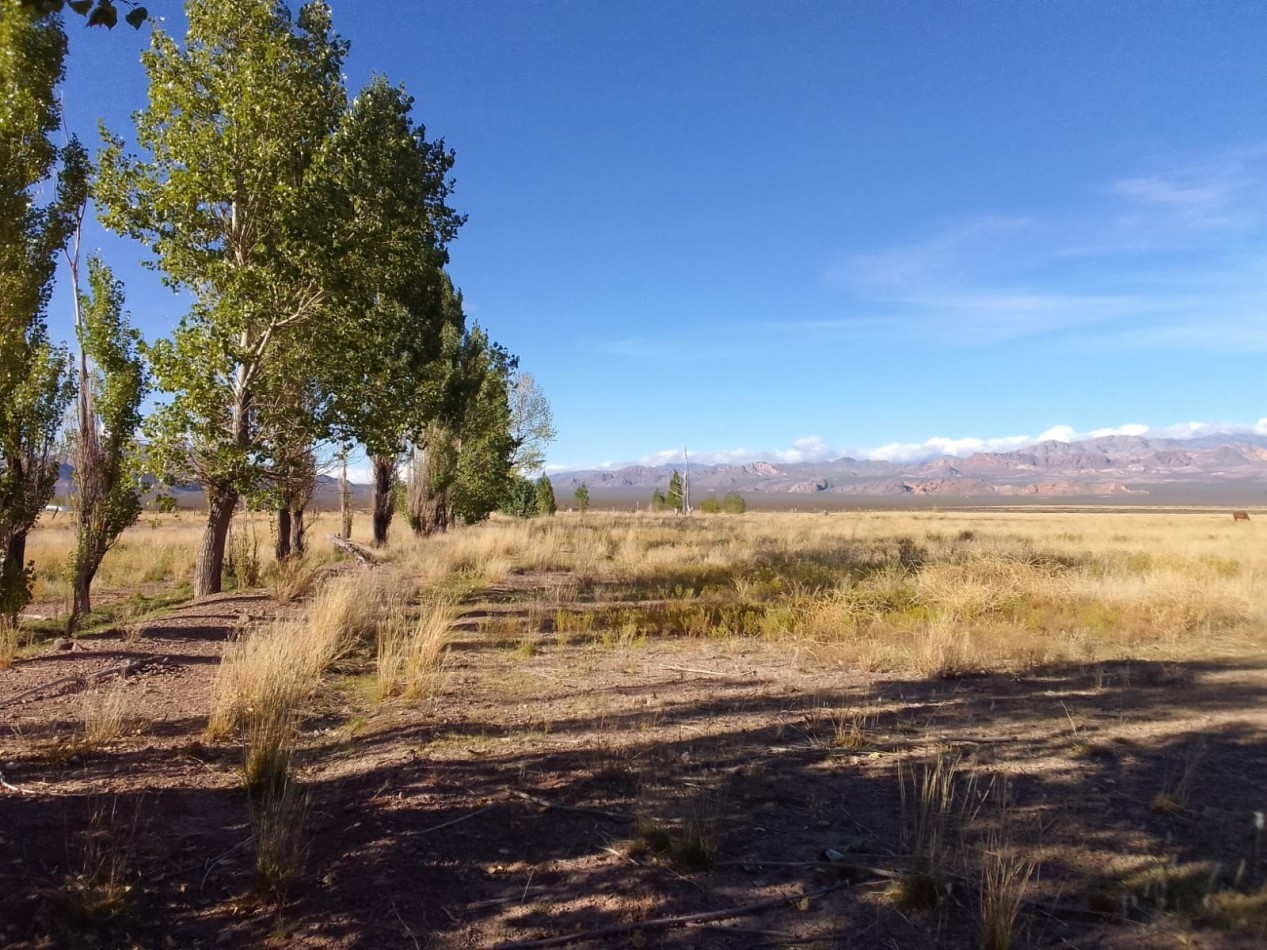GREENWOOD VENDE FINCA HERMOSA CON UN GRAN VISTA A LA CORDILLERA, UBICADA EN LOS TAMBILLOS, USPALLATA
