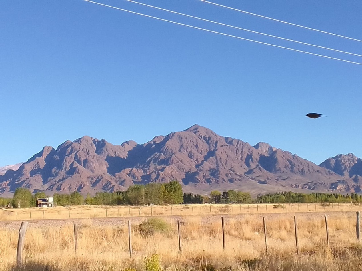 GREENWOOD VENDE FINCA HERMOSA CON UN GRAN VISTA A LA CORDILLERA, UBICADA EN LOS TAMBILLOS, USPALLATA
