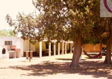 GREENWOOD VENDE FINCA EN Valle Fertil San Juan