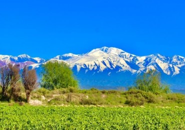 GREENWOOD VENDE FINCA DE 15HA. EN UGARTECHE, UBICACION PRIVILEGIADA