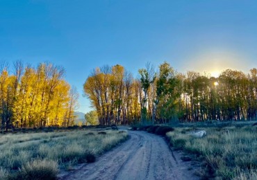 GREENWOOD VENDE GRAN TERRENO EN MALARGUE (CENTRO).